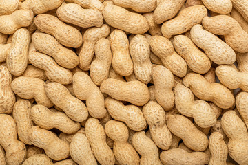 Peanuts in the shell. Texture for designers. Food. Background of peanuts.