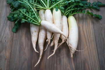 Daikon radish on the wood background