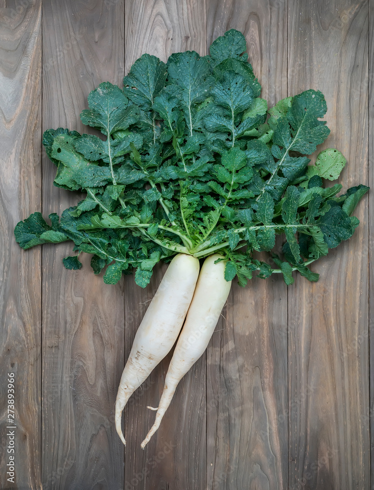 Wall mural daikon radish on the wood background