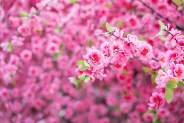 artificial peach blossoms on a branch