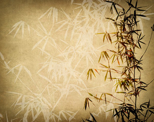 bamboo on old paper background