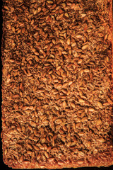 closeup surface of homemade whole rye bread with sesame seeds
