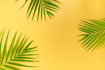 Green Palm leaves on yellow background. Summer concept. Flat lay, top view, copy space