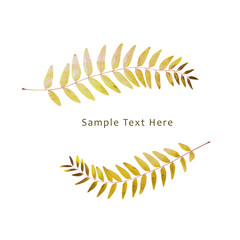 Dried leaf green leaf herbs carved decoration frame on white