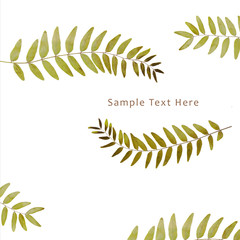 Dried leaf green leaf herbs carved decoration on white