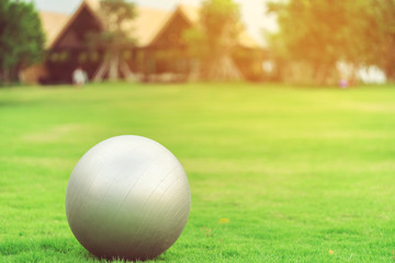 Large gray rubber balls placed on green grass in the public park.