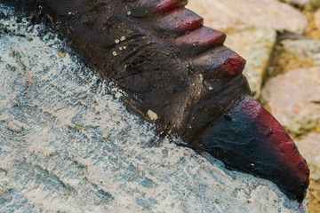 Close up to Colorful and patterns of  dinosaur model surfaces created with cement