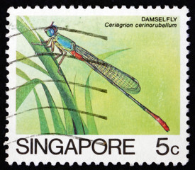 Postage stamp Singapore 1985 damselfly, insect