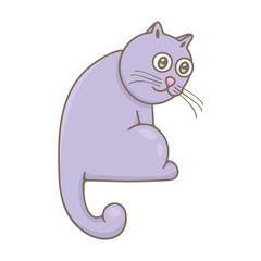 Cat. isolated on white background