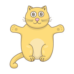 Cat. isolated on white background