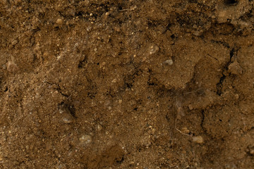 Textura tierra