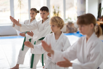 Boys feeling involved in practicing aikido together - obrazy, fototapety, plakaty