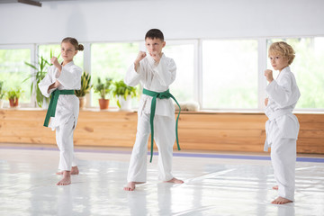 Boys and girl feeling serious while studying martial art