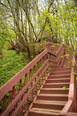 a view, looking up for the top of a long wooden staircase located in a forest. Part of a hiking trail and used to connect viewpoints. Vertical