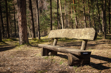 Bench in the forrest