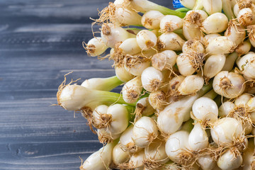 close up of bunch of Scallion or spring onions