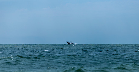 Naklejka premium boat in the sea