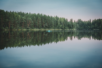Summer forest lake landscape