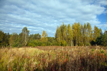 Countryside landscape