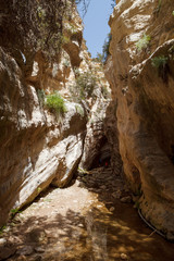 Avakas Gorge canon in Cyprus with little river, Sunlit rocks and tight path between them.