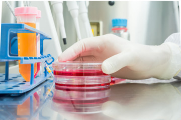 A scientist in sterile coverall gown preparing growth medium and reagent for cell cuture assay in biological safety cabinet (BSC). Doing molecular experiment in cleanroom facility.