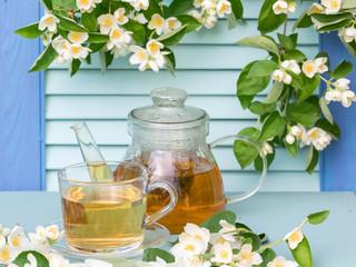 Hot jasmine tea in a glass cup with a saucer. On a background there is a teapot from glass. Around fresh flowers and buds of a jasmine. background from wooden blinds of turquoise color