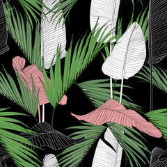 Naklejki  Egzotyczna linia tropikalnych liści na ciemnym tle. Kwiatowy wzór. Tropikalna ilustracja. Letni projekt plaży. Rajska przyroda.