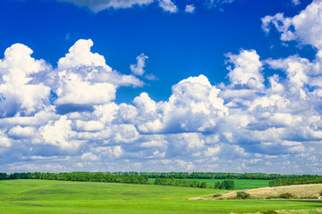 picturesque view of trees growing on green field with white fluffy clouds on blue sky at sunny day