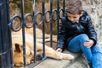 Cute boy caressing a sad dog behind a fence