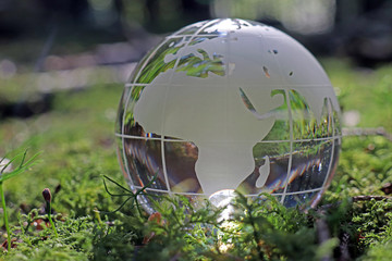 Weltkugel aus Glas im Wald 