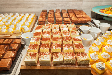Tiramisu and other small cakes assortment of sweet cakes on candy buffet