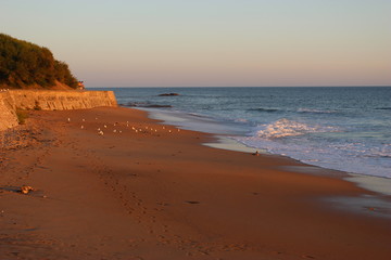 Vague au soleil couchant (quartier des Présidents aux Sables-d'Olonne)
