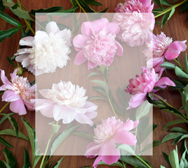 beautiful background of pink white and lilac flowers for greeting cards