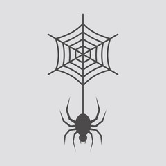 Spider icon in flat style.Vector illustration.