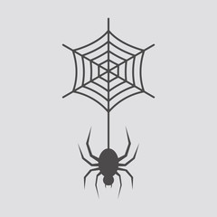 Spider icon in flat style.Vector illustration.