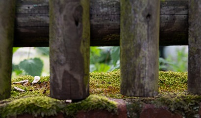 Naklejka premium Blick hinter den Zaun