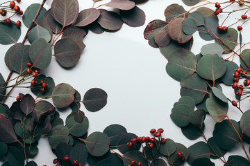 flame with green eucalyptus leaves and red berries on white