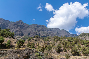 Fototapeta na wymiar Barranco de las Angustias, La Palma Island, Canaries, Spain