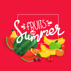 Fruits of summer vector concept