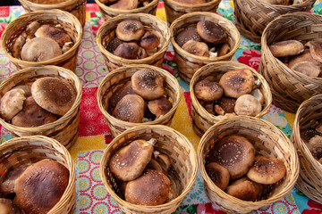 Freshly harvested Shitake mushrooms for sale in woven baskets on a colorful tablecloth at a summer market.