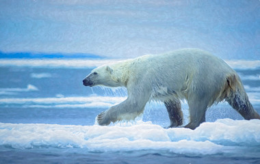 Polar bear on ice floe,photo art