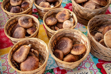 Close up of freshly harvested Shitake mushrooms for sale in woven baskets on a colorful tablecloth at a summer market.