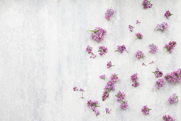 Lilac flowers on grey background, flat lay, top view