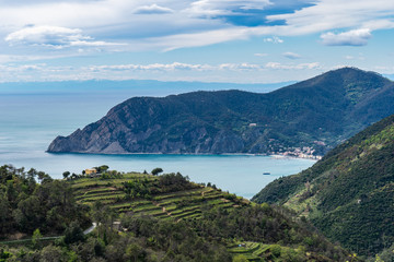 Fototapeta na wymiar Blick von oben auf Weinberge in Cinque Terre und Felsküste