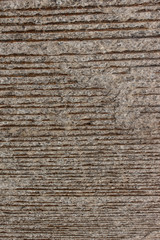 Texture from Ceiling of a Viaduct