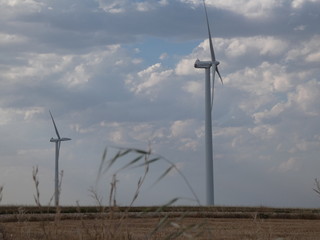 wind turbine in a field