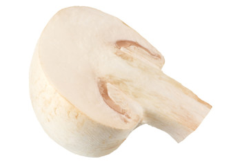 Fototapeta premium mushrooms isolated on white background. top view