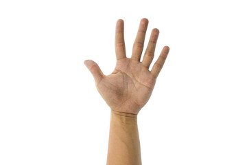 Naklejka premium Man hand gestures on the White Background