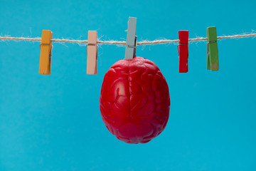 The brain of red color is dried on a clothesline, on a clothespin. Dry brain