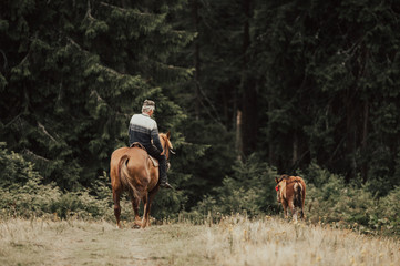 Cowboy riding horse in forest.